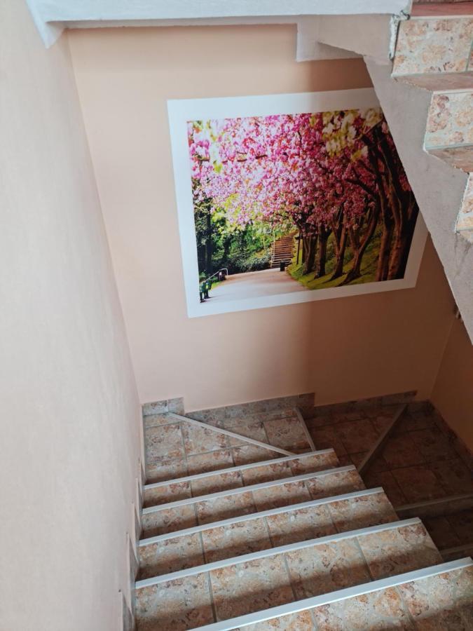 Apartman'S Ana Pale-Oc Jahorina No.2 Екстер'єр фото